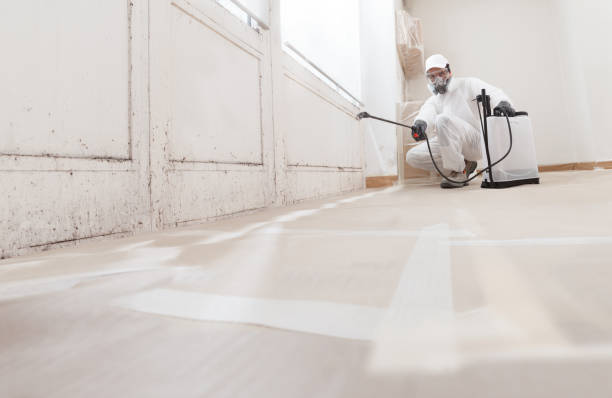 24/7 Emergency Basement Mold Removal experts in Franklin, TN